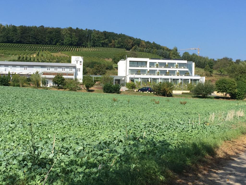 Отель Heitlinger Hof Tiefenbach  Экстерьер фото